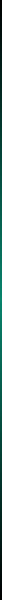 Vert_Rule